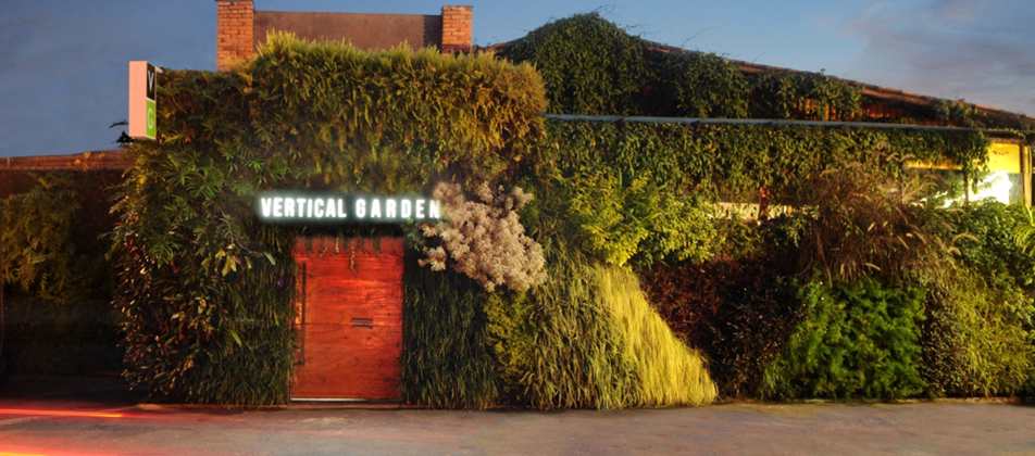 Vertical Garden Preservadas