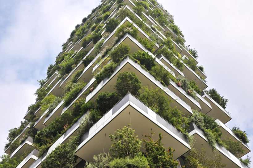 Jardim Vertical Natural